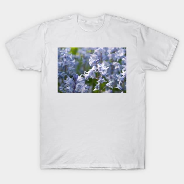 Bluebells flowering in late Spring - Yorkshire, UK T-Shirt by richflintphoto